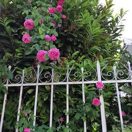 Doux Cocon De 50 M2 Paris-le Raincy Lägenhet *